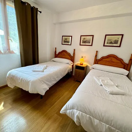 B56 - Alimoche - Villmor * 베나스크